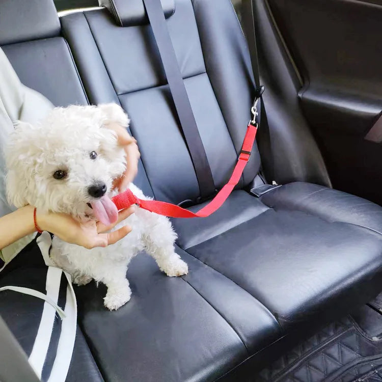 Pet Car Seat Belt