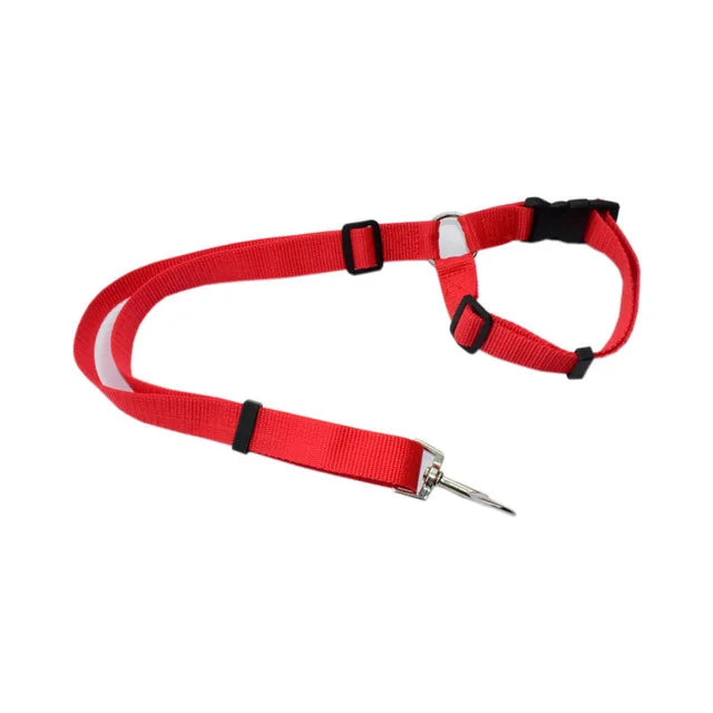 Pet Car Seat Belt