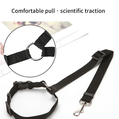 Pet Car Seat Belt