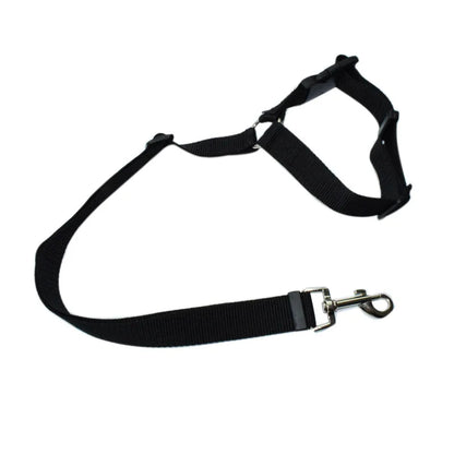 Pet Car Seat Belt