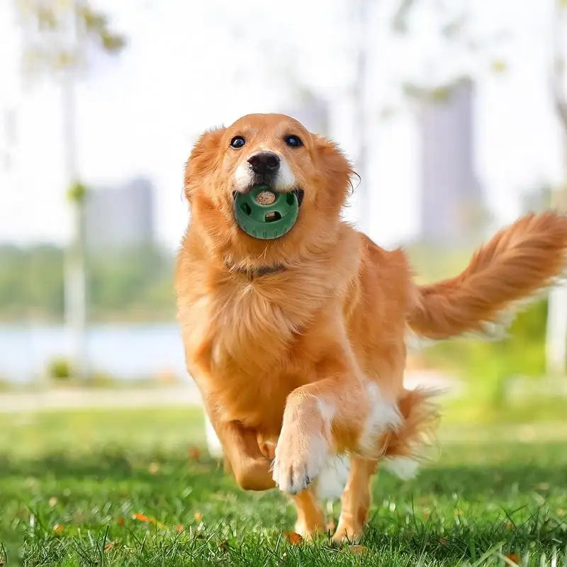 Dog Food Toys