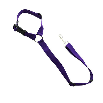 Pet Car Seat Belt