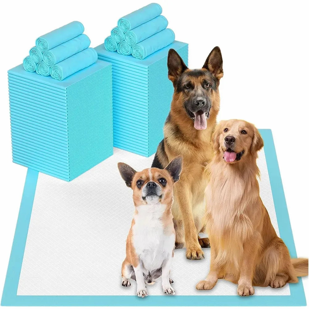 Pet Diaper Dog Training Pee Pads