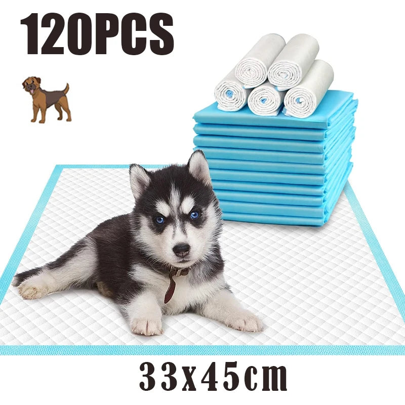 Pet Diaper Dog Training Pee Pads